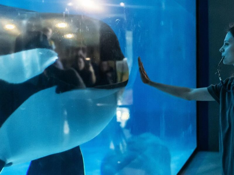 ChatGPT vs. DeepSeek: What One AI Thinks About the Other